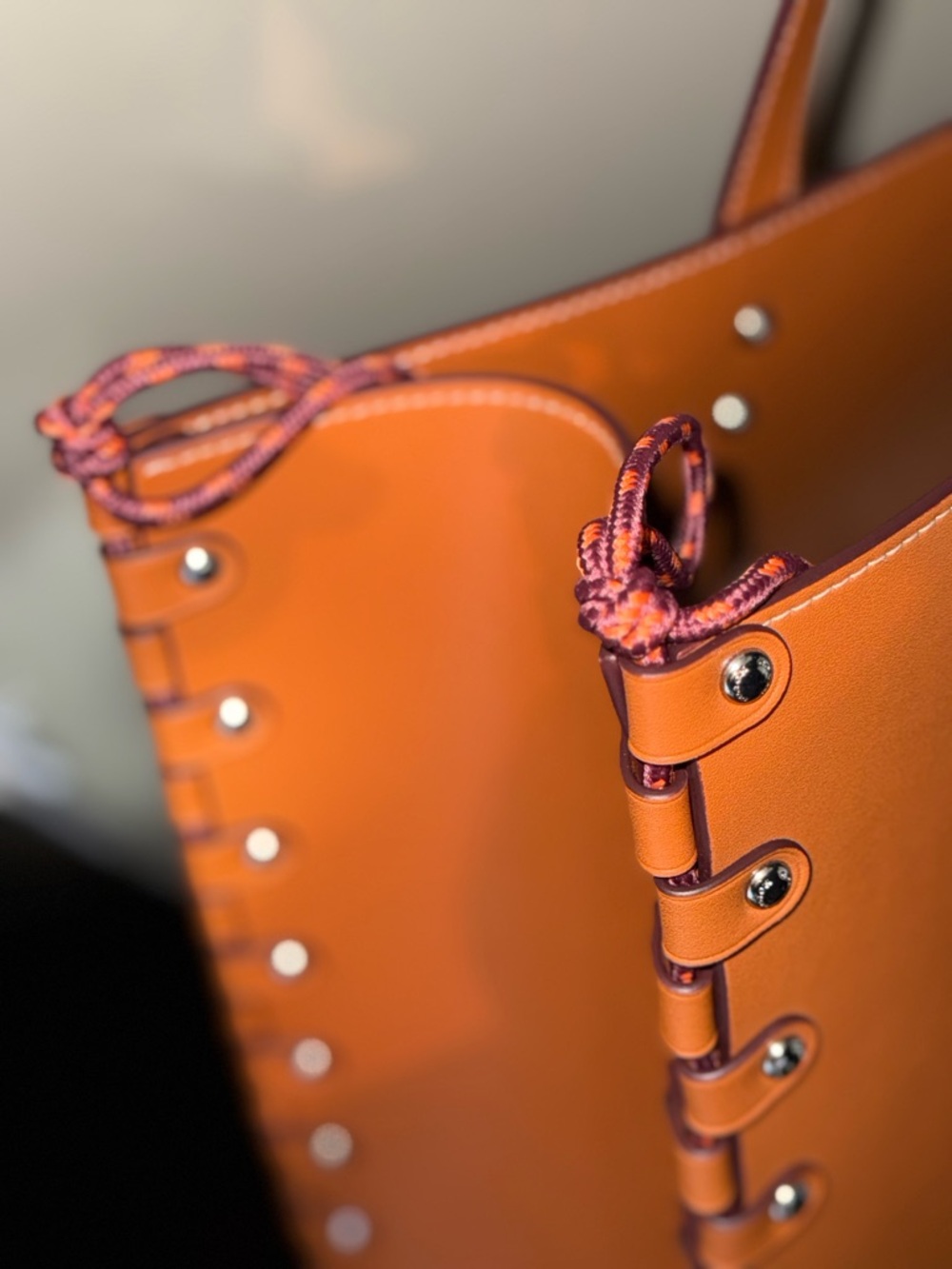 Coachtopia The Re-Laceable Tote: Large - Picture 11 of 12